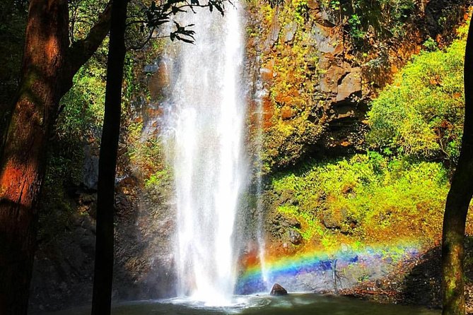 Wailua River & Waterfalls Kayak Tour: Expert-Guided Adventure - What to bring: the footwear rules are not optional