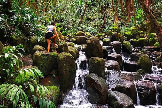 Wailua River & Waterfalls Kayak Tour: Expert-Guided Adventure - Guides, group size, and that small-tour attention