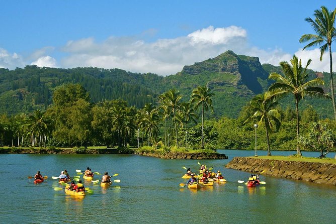 Wailua River & Waterfalls Kayak Tour: Expert-Guided Adventure - Lunch included, but plan for dietary requests early