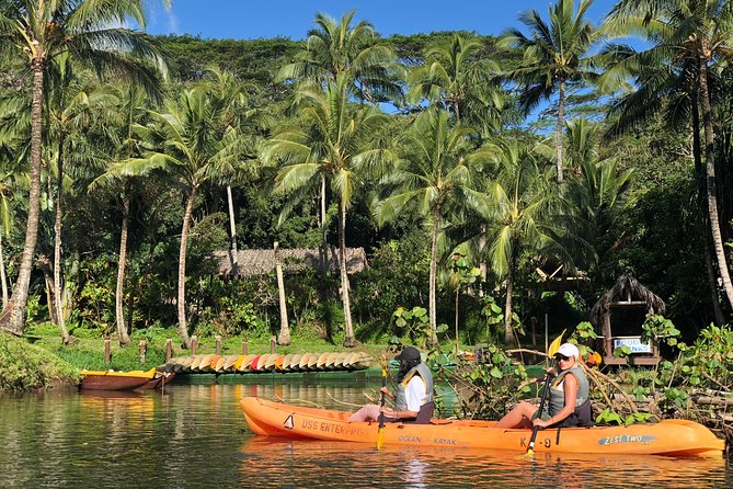 Wailua River & Waterfalls Kayak Tour: Expert-Guided Adventure - Price and value: what $145.86 gets you on Kauai