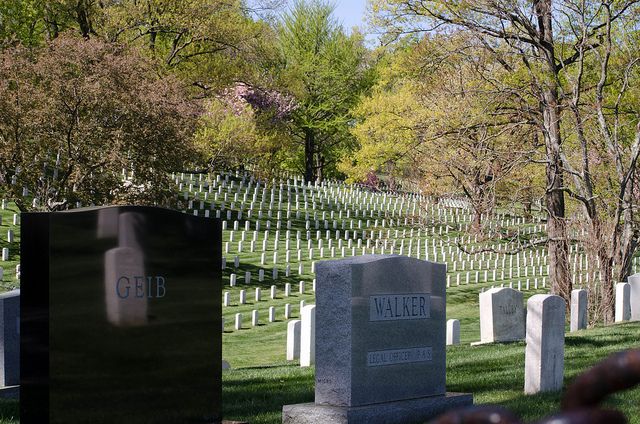 Washington DC: Arlington Nat. Cemetery Ticket & Tram Tour - Why the 45-Minute Loop Feels Like Smart Planning, Not a Shortcut