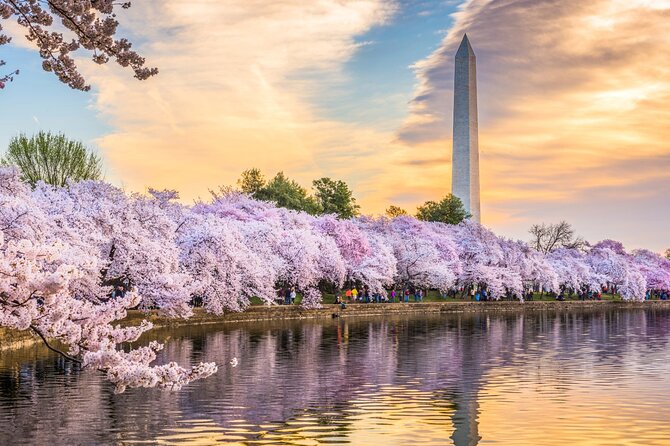 Washington DC Day Tour from New York City - Key highlights worth your attention
