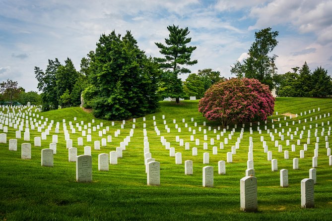 Washington DC Day Tour from New York City - The Wi-Fi coach and the guide storytelling that keeps it from feeling rushed