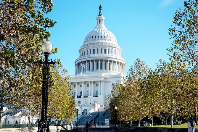 Washington DC Highlights Tour with Top Landmarks and Memorials - Tidal Basin viewpoints, then MLK, then the memorial cluster