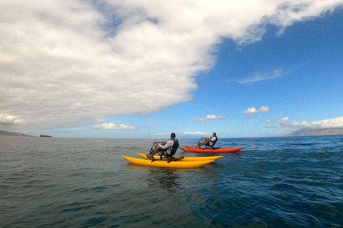 Water Bike Tour in South Maui - The Black Sand Beach Pass: Rare Views Without Docking