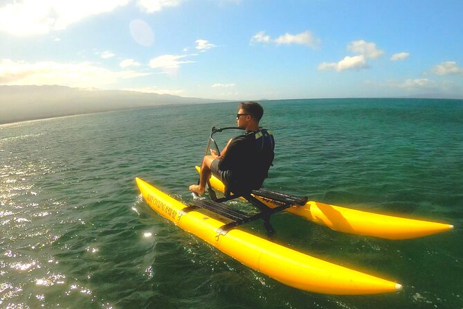 Water Bike Tour in South Maui - Marine Life You Might See, and How the Guides Make It Better