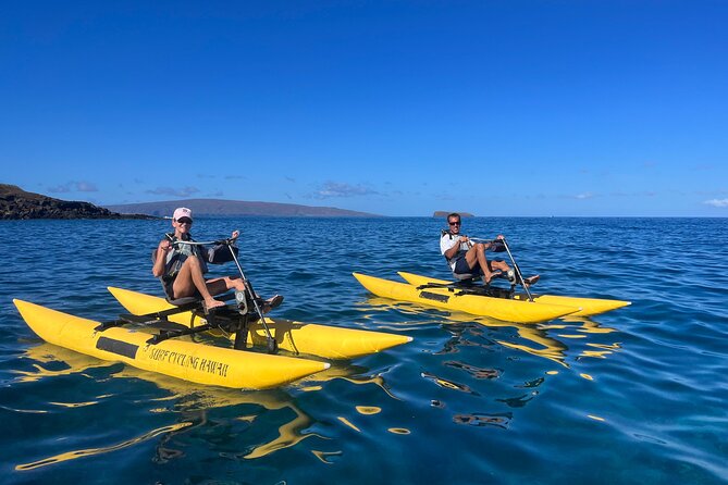 Water Bike Tour in South Maui - Price and Value: What $124 Buys You on This South Maui Tour