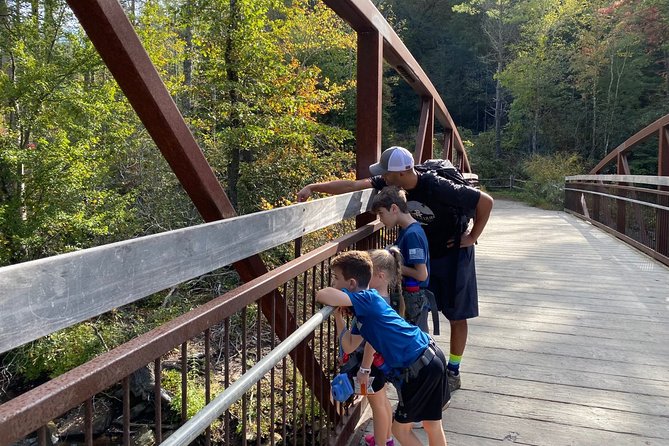Waterfall Jeep Tour - Backroads and Scenic Views - How Much Walking Is Actually Involved?