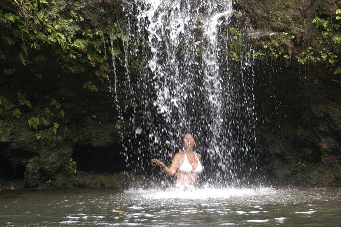 Waterfall & Rainforest Hiking Adventure with Hotel Pickup - Hidden Pool Time: Dip, Jump, and Stay Realistic