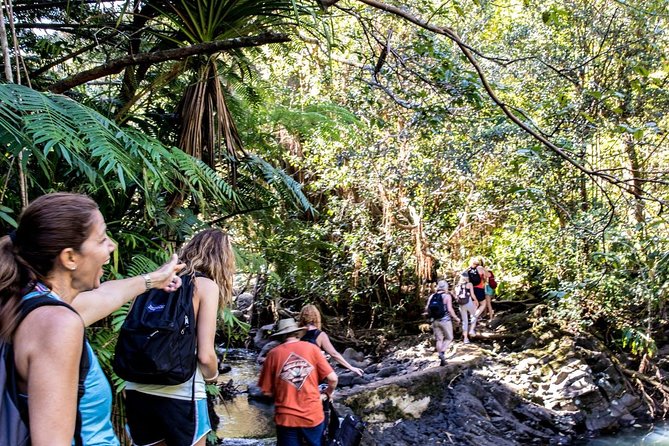 Waterfall & Rainforest Hiking Adventure with Hotel Pickup - Small Group Size and the Guide Factor