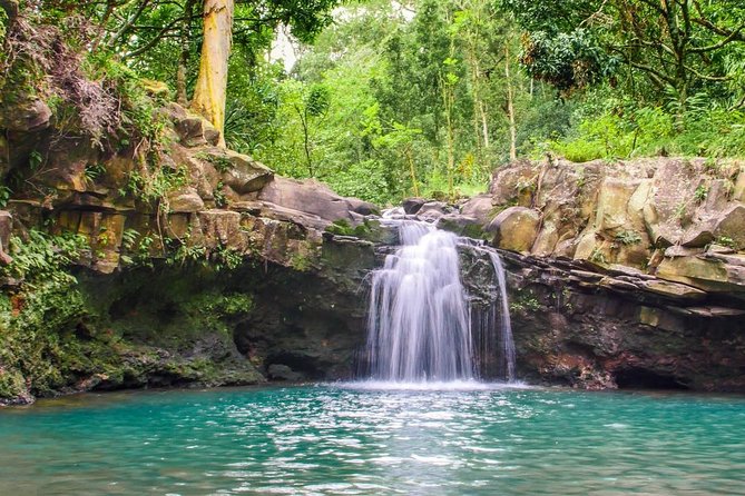 Waterfall & Rainforest Hiking Adventure with Hotel Pickup - Weather-Proofing Your Day in Maui Rainforest