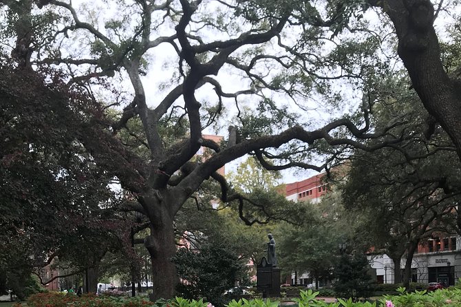 Welcome to Savannah Guided Walking Tour - Finishing at Colonial Park Cemetery, a Calm Last Step