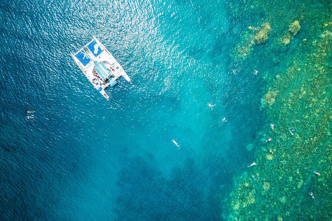 West Maui Afternoon Snorkel from Ka’anapali Beach - Key things to know before you go