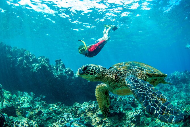 West Maui Afternoon Snorkel from Ka’anapali Beach - Snorkel gear, water help, and the real safety picture