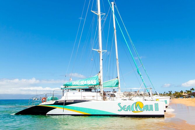 West Maui Afternoon Snorkel from Ka’anapali Beach - Who this cruise is best for (and who should think twice)