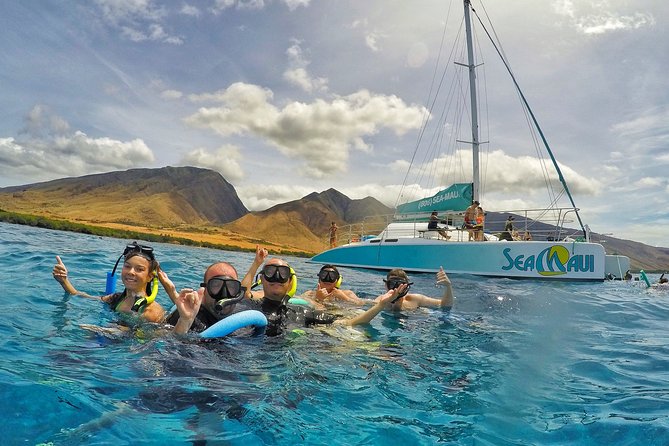 West Maui Afternoon Snorkel from Ka’anapali Beach - Snorkeling West Maui reefs: turtles, coral, and changing locations