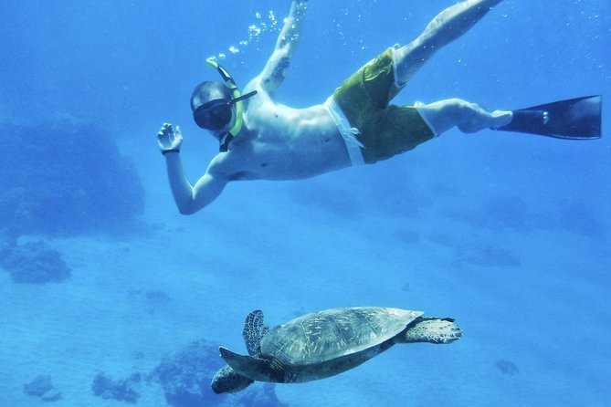 West Maui Half Day Snorkel from Ka’anapali Beach - Price, group size, and what $189.25 buys you
