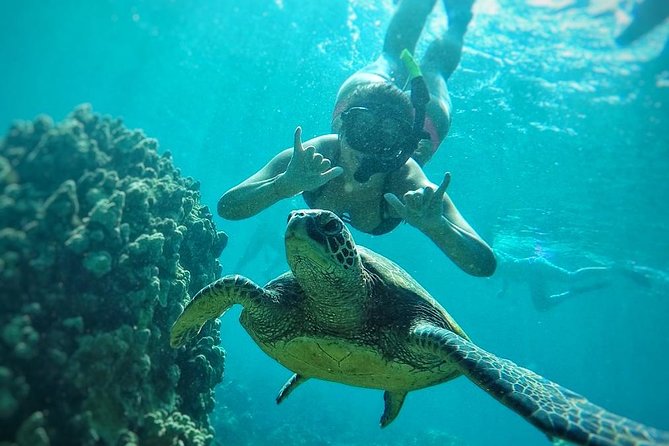 West Maui Half Day Snorkel from Ka’anapali Beach - Who this tour is for, and who should skip it