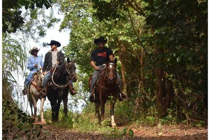 West Maui Mountain Waterfall and Ocean Tour via Horseback - Up the West Maui Mountains: Waterfalls Are Seasonal, Not Guaranteed