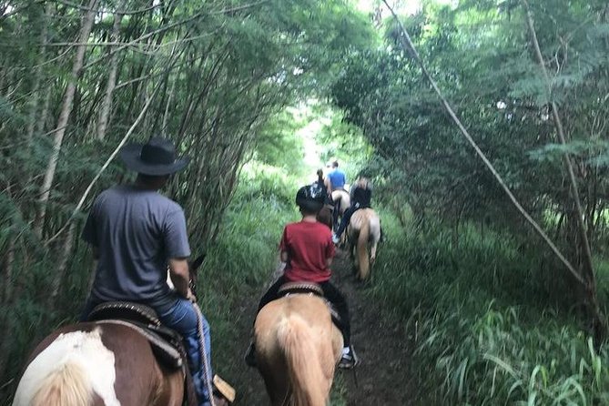 West Maui Mountain Waterfall and Ocean Tour via Horseback - What to Wear When the Trail Turns Dusty or Muddy