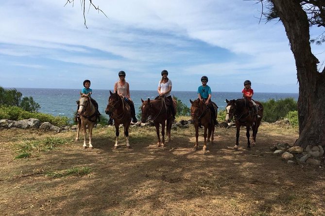 West Maui Mountain Waterfall and Ocean Tour via Horseback - Price and Value: Is $187.50 Worth It?