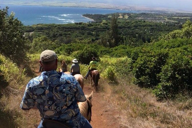 West Maui Mountain Waterfall and Ocean Tour via Horseback - Meeting in Wailuku and Getting Matched to Your Horse