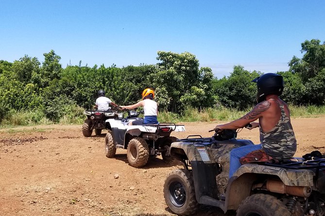West Maui Mountains ATV Adventure - Down the mountainside: shoreline views without the white sand beach