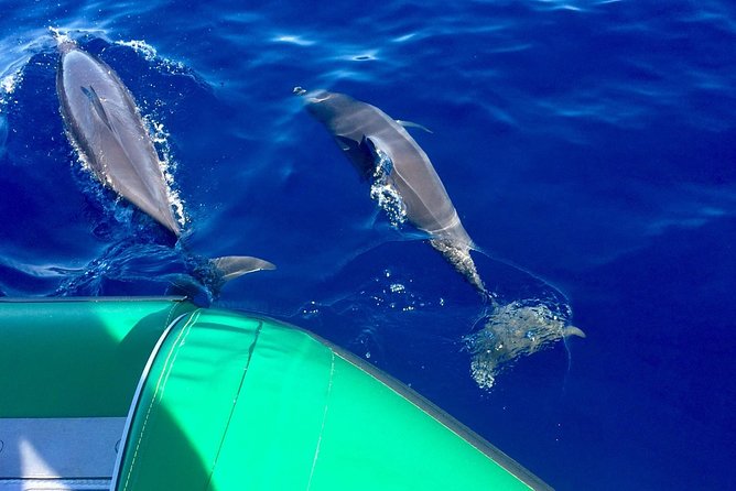 West Maui Snorkeling Experience by Boat from Ka'anapali - Key things that make this West Maui snorkel trip work