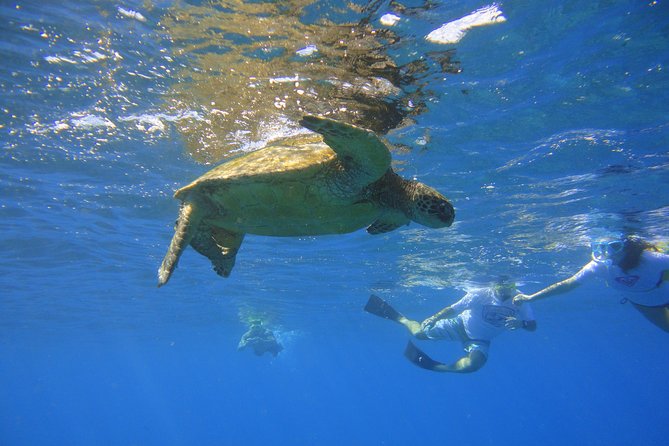 West Maui Snorkeling Experience by Boat from Ka'anapali - West Maui Snorkeling From Kaanapali: The value of a smaller boat day