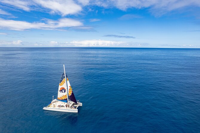 West Oahu Dolphin Watch and Snorkel Sail with Lunch - West Oahu Dolphin Watching on a Catamaran: What Makes It Work