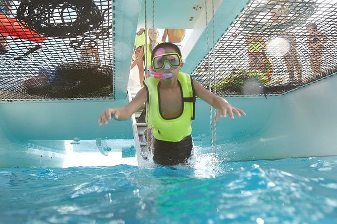 West Oahu Dolphin Watch and Snorkel Sail with Lunch - Dolphins, Turtles, and Whales: Seasonality and the Sighting Promise