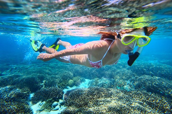 West Oahu Dolphin Watch and Snorkel Sail with Lunch - The Route Along Makaha, Waianae, and the North-West Coast Landmarks