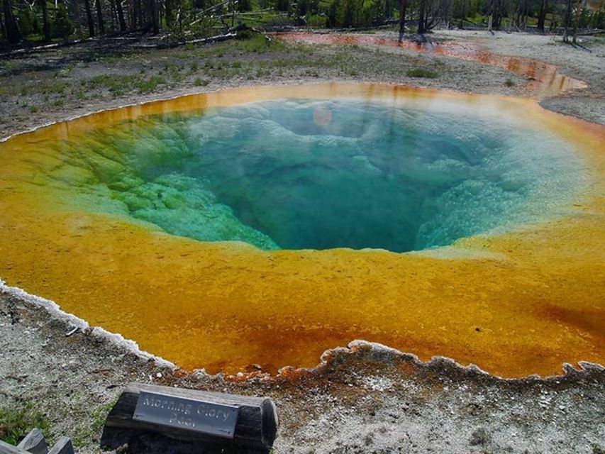 West Yellowstone: Yellowstone Day Tour Including Entry Fee - Key highlights to look forward to