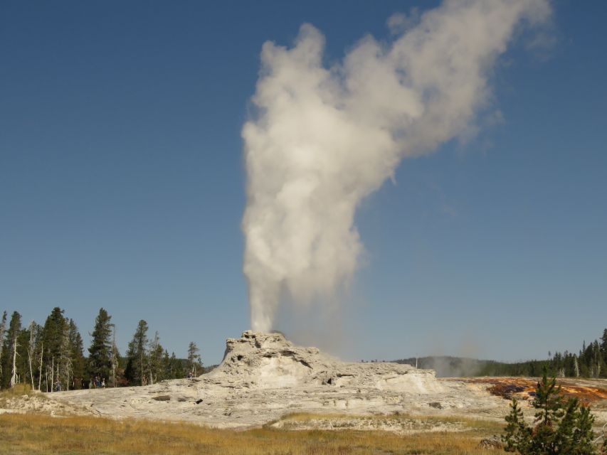 West Yellowstone: Yellowstone Day Tour Including Entry Fee - Old Faithful and the geothermal start that sets the tone