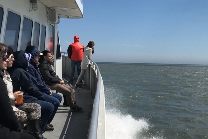 Whale and Dolphin Watching Cruise from Cape May - Is It Worth $45? The Value Math for a Whale and Dolphin Day