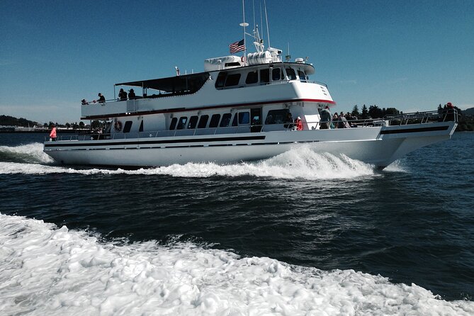 Whale Watching from Friday Harbor - How the Naturalists Help You See More Than Just Big Blobs