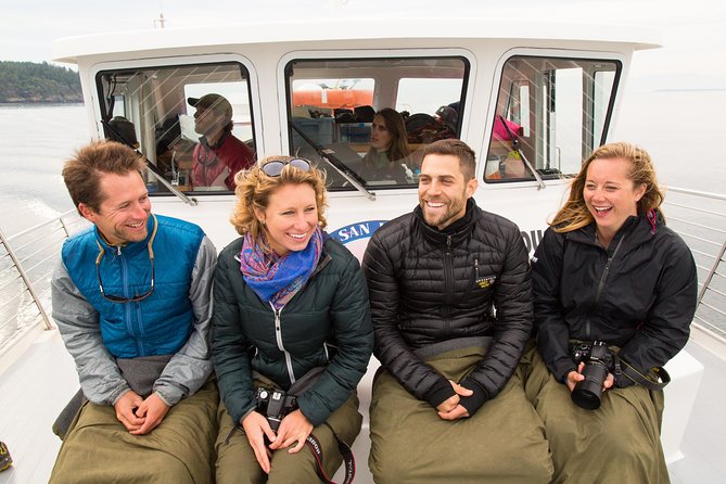 Whale Watching from Friday Harbor - Timing, Seasonal Returns, and Seattle-Daydream Logistics
