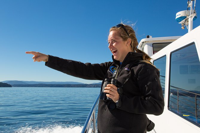 Whale Watching from Friday Harbor - The San Juan Island Stop: Why Orcas Are Here and What You Are Looking For