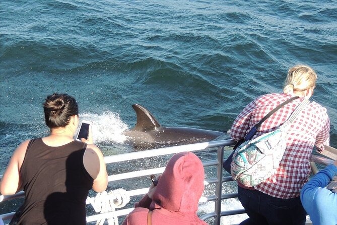 Whale Watching Tour from Anacortes - The Crew and Naturalist Style: Learning That Actually Helps You Spot