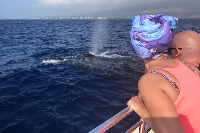 WHALES GUARANTEED Maui Whale Watching Makai Adventures - Key Things That Make This Whale Watch Work