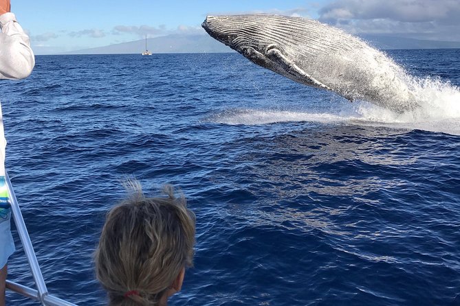 WHALES GUARANTEED Maui Whale Watching Makai Adventures - How the 2 Hours 15 Minutes Typically Run