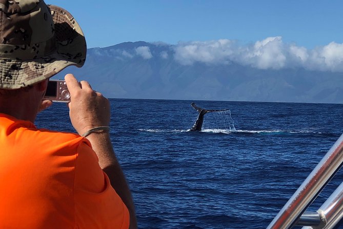 WHALES GUARANTEED Maui Whale Watching Makai Adventures - Better Viewing Angles, Shade, and Photo Power