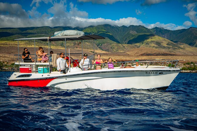 WHALES GUARANTEED Maui Whale Watching Makai Adventures - Who This Whale Watch Fits Best, and Who Might Skip It