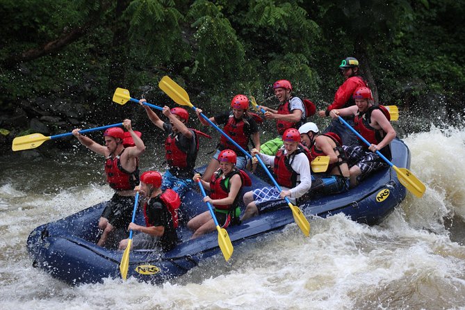 White Water Rafting Experience on the Upper Pigeon River - Key things to know before you go