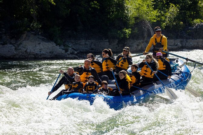 Whitewater Rafting in Jackson Hole : Family Standard Raft - Whitewater rafting in Jackson Hole, what this family standard trip really delivers