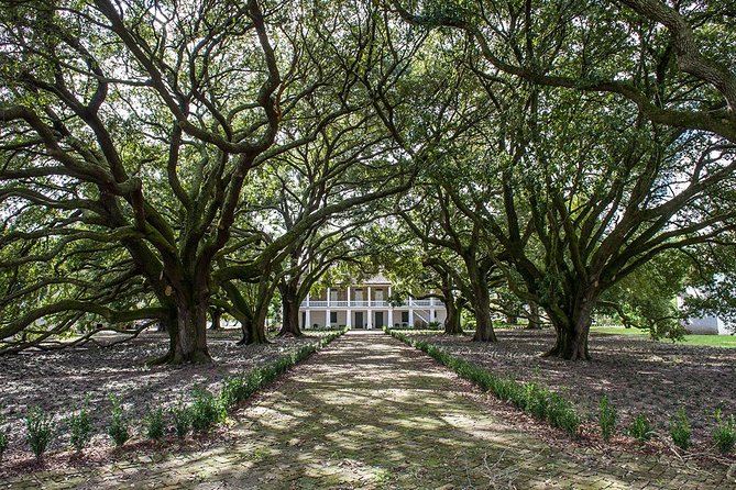 Whitney Plantation Tour with Transportation from New Orleans - Should You Book the Whitney Plantation Tour with Transportation?