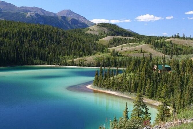 Wild Adventure Yukon Tour into Canada including City and Summit - Key Points to Know Before You Go