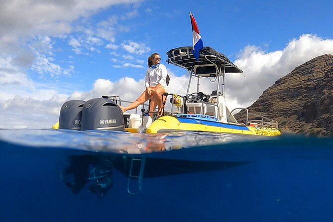 Wild Dolphin Watching and Snorkel Safari Off West Coast of Oahu - Quick Take: What Makes This Oahu Dolphin + Snorkel Tour Work