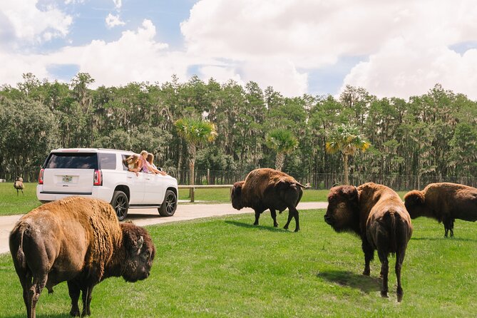 Wild Florida Drive-Thru Safari and Gator Park Admission - Drive-thru safari in your own car, at a human pace
