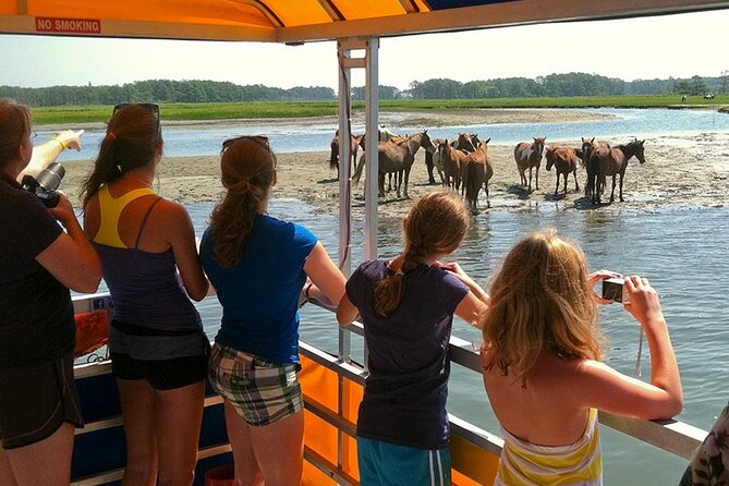 Wild Pony Watching Boat Tour from Chincoteague to Assateague - Narration and spotting: what you can do to actually see more